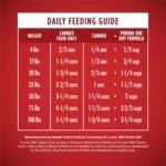 Purina ONE Wet Dog Food Variety Pack, Tender Cuts, (2 Pack of 6) 13 oz Cans - Image 7