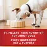 Purina ONE Wet Dog Food Variety Pack, Tender Cuts, (2 Pack of 6) 13 oz Cans - Image 8