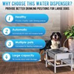 3Gal Automatic Dog Water Bowl Dispenser for Large Dogs Outdoor - Image 4