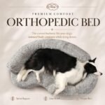 Orthopedic Memory Foam Dog Bed for Medium Sized Dogs, Round - Image 3