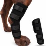 Dog Knee Brace for Hind Leg, Dog Hock Brace for Back Leg Support, Adjustable ACL CCL Brace for Dogs, Rear Leg Support for Joint Stability, Recovery & Mobility, Small Medium Large Dogs (Black, M)