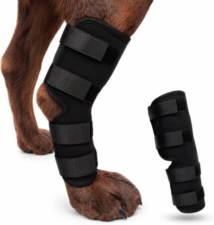 Dog Knee Brace for Hind Leg, Dog Hock Brace for Back Leg Support, Adjustable ACL CCL Brace for Dogs, Rear Leg Support for Joint Stability, Recovery & Mobility, Small Medium Large Dogs (Black, M)