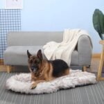 Laifug Luxury Faux Fur Dog Bed，5 in Memory Foam（50L x 30W x 5H in，White） - Image 6