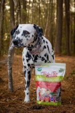 Tender & True Pet Nutrition Farmers Market Recipe Freeze Dry Raw Dog Food, 1 lb. - Image 3