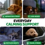 YUMA'S Hemp Calming Chews for Dogs - 170 Chews - Advanced Dog Calming Chews - Image 3