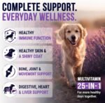 25-in-1 Dog Vitamins and Supplements, Dog Multivitamin Chews w/Glucosamine - Image 2