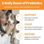 SKOUT'S HONOR Probiotic Dog Detangler Spray, 8 oz - Image 5
