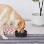 6'' Ceramic Dog Bowl - 30Oz Classic Dogs Food & Water Bowl for Small and Medium Breed Dogs, Heavy Duty Non-Slip Dog Dishes, Food Grade Stoneware Pet Bowl, Dishwasher & Microwave Safe, Black - Image 5