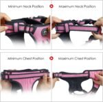 NESTROAD Dog Harness for Medium Sized Dog,No Pull Dog Vest Harness Set - Image 6