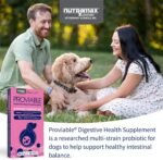 Nutramax Proviable Digestive Health Supplement Kit with Multi-Strain Probiotics and Prebiotics for Medium to Large Dogs - with 7 Strains of Bacteria, 30 mL Paste and 10 Capsules - Image 3