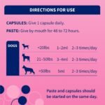 Nutramax Proviable Digestive Health Supplement Kit with Multi-Strain Probiotics and Prebiotics for Medium to Large Dogs - with 7 Strains of Bacteria, 30 mL Paste and 10 Capsules - Image 6