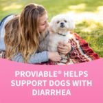 Nutramax Proviable Digestive Health Supplement Kit with Multi-Strain Probiotics and Prebiotics for Medium to Large Dogs - with 7 Strains of Bacteria, 30 mL Paste and 10 Capsules - Image 10