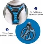 Dog Harness with Leash Set, Step-in Adjustable Puppy Pet Vest, Pink S - Image 3