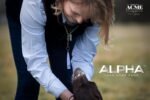 ACME Alpha 210.5 Professional Dog Training Whistle with Enhanced Ergonomic Grip. BPA-Free Plastic. 110 dBA. Standardized Frequency for Smaller Dogs. Weatherproof. Made in the UK (Baltic Blue) - Image 4