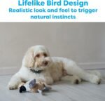 SPOT Bird Calls Plush Dog Toy with Realistic Bird Sound – 12" Sound Chip Toy for Dogs, One of Three Assorted Styles, Engaging Indoor Play for Small and Medium Breeds - Image 3