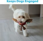 SPOT Bird Calls Plush Dog Toy with Realistic Bird Sound – 12" Sound Chip Toy for Dogs, One of Three Assorted Styles, Engaging Indoor Play for Small and Medium Breeds - Image 4