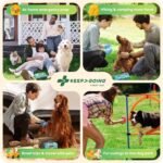 KeepGoing Pet First Aid Kit for Dogs & Cats, 99 Pc. Travel Emergency Kit - Image 7