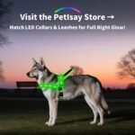 LED Dog Harness for Night Walking, Rechargeable, No Pull, Green, Medium - Image 5