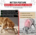 Loving Pets Elevated Dog Bowls – Raised Stainless Steel Dog Bowls with Steel Stand – Non-Skid, No Spill Feeder for Small, Medium & Large Dogs – Easy to Clean, Durable Raised Dog Feeding Station - Image 3