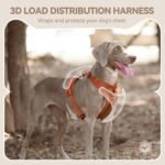 Sunraymascota Dog Harness,Soft Lycra Puppy Vest for Medium Sized Dogs - Image 4