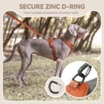 Sunraymascota Dog Harness,Soft Lycra Puppy Vest for Medium Sized Dogs - Image 7