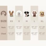 Sunraymascota Dog Harness,Soft Lycra Puppy Vest for Medium Sized Dogs - Image 10