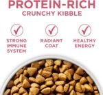 Purina ONE Plus Skin & Coat, Sensitive Stomach Dry Dog Food, 31.1 lb Bag - Image 6
