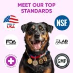 Dog Allergy Relief Chews for Itchy Skin - Seasonal and Food Allergy Chews for Shedding, Licking Paws, Hot Spot, Ears - USA Product - Omega 3 Fish Oil Skin & Coat Supplement - Anti Itch Immune Treats - Image 6