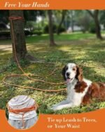 Long Dog Leash for Dog Training 10FT 16FT/30FT/50FT/100FT, Reflective Threads Rope Dog Leash, Heavy Duty Dog Lead for Large Medium Small Dogs Walking Playing, Camping, or Yard - Image 5