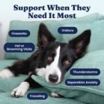 Solid Gold Calming Chews for Dogs with Melatonin for Storms & Travel, 60ct - Image 3