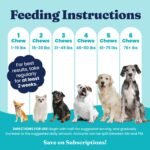 Solid Gold Calming Chews for Dogs with Melatonin for Storms & Travel, 60ct - Image 6