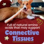 Pawstruck 10"-13” Collagen Braids 100% Natural Beef Chews for Dogs, 3 Pack - Image 5