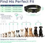 Premium Tactical Dog Collar - Adjustable Military Heavy Duty Dog Collar for Medium Large Dogs - Durable Metal Buckle Dog Collar with Leather Control Handle and Soft Comfortable Padding - Image 6