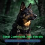 Premium Tactical Dog Collar - Adjustable Military Heavy Duty Dog Collar for Medium Large Dogs - Durable Metal Buckle Dog Collar with Leather Control Handle and Soft Comfortable Padding - Image 8