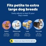 PetSafe Easy Walk Harness, No Pull Dog Harness, Raspberry, Medium/Large - Image 3