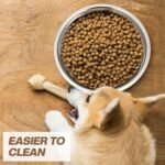 Ziliny 10 Pcs 8 Cup Metal Dog Bowls Stainless Steel Food Dish 64 Oz - Image 6