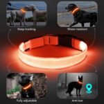 Light Up Dog Collar, Rechargeable USB Collar, Waterproof, Luminous LED Collar, Adjustable, Super Bright, Night Walking for Small Medium Large Dogs, Orange, L - Image 3