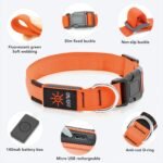 Light Up Dog Collar, Rechargeable USB Collar, Waterproof, Luminous LED Collar, Adjustable, Super Bright, Night Walking for Small Medium Large Dogs, Orange, L - Image 4