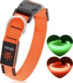 Light Up Dog Collar, Rechargeable USB Collar, Waterproof, Luminous LED Collar, Adjustable, Super Bright, Night Walking for Small Medium Large Dogs, Orange, L - Image 7