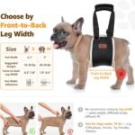 Adjustable Dog Lift Harness for Small Dogs Hind Leg Support Weak Legs Aid - Image 3