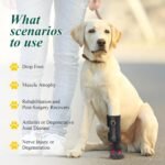 Strap-On Drop Foot Brace (No Knuckling Boot Brace) for Dogs, XL - Image 3