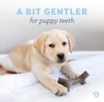 Benebone Puppy 2-Pack Maplestick/Zaggler Dog Teething Toys, Dog Bones, Tiny - Image 2