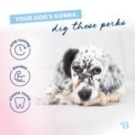 Benebone Puppy 2-Pack Maplestick/Zaggler Dog Teething Toys, Dog Bones, Tiny - Image 3