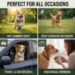 Dogs Electrolyte Supplement - Beef Broth – Hydration Support – 20 Tabs - Image 6