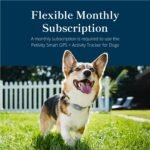 Purina Petivity Dog GPS Tracker Collar, Activity and Real Time Tracking - Image 3