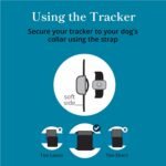 Purina Petivity Dog GPS Tracker Collar, Activity and Real Time Tracking - Image 6