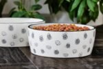 Pearhead Ceramic Dog Bowl Extra Large 8 Cup - Image 8