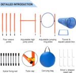Dog Agility Training Equipment, Obstacle Agility Training Starter Kit for Doggie, Including Tunnel, 13 Weave Poles, Adjustable Hurdle, Jump Ring, Pause Box and Carrying Bag(Blue) - Image 3