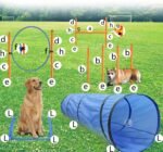 Dog Agility Training Equipment, Obstacle Agility Training Starter Kit for Doggie, Including Tunnel, 13 Weave Poles, Adjustable Hurdle, Jump Ring, Pause Box and Carrying Bag(Blue) - Image 4