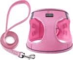 Dog Harness with Leash Set, Step-in Adjustable Puppy Pet Vest, Pink XS